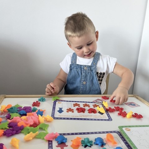 WOOPIE Zestaw Edukacyjny Nauka Liczenia Sortowanie Kolorów Morska Kraina 111 el. WOOPIE Zestaw Edukacyjny Nauka Liczenia Sortowanie Kolorów Morska Kraina 111 el.