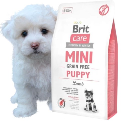 Sucha Karma dla Psa Jagnięcina PSY Z ALERGIĄ BRIT CARE MINI PUPPY LAMB 2KG