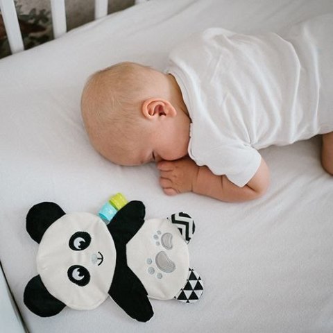 1558 PRZYTULANKA-SZELEŚCIK PANDA POLLY 1558 PRZYTULANKA-SZELEŚCIK PANDA POLLY