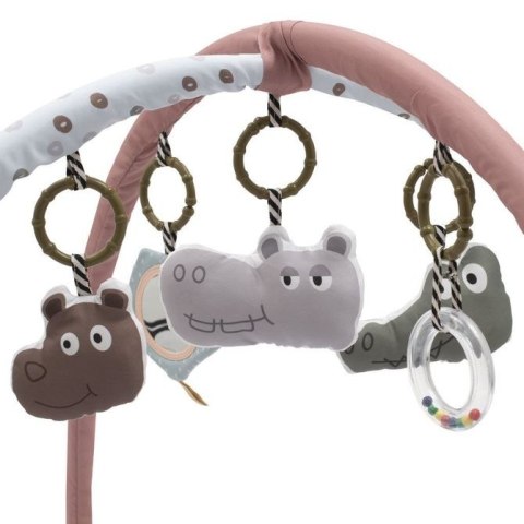 53590 MATA SAHARA ANIMALS