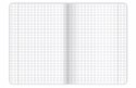 Zeszyt A5 60k kratka margines BIRDS EYE 400182435 TOP 2000