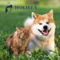 WITAMINY DLA PSA I KOTA HOLISTA NATURAL IRON 180G ŻELAZO HEMOGLOBINA ANEMIA