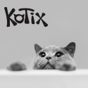 ŻWIREK DLA KOTA SILIKONOWY NATURALNY Silica Gel Cat Litter KOTIX 10 l 4 kg