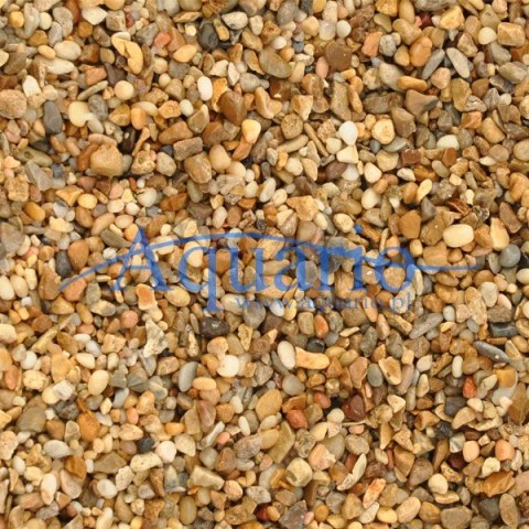 Żwirek rzeczny 2-4mm 2kg Żwirek rzeczny 2-4mm 2kg