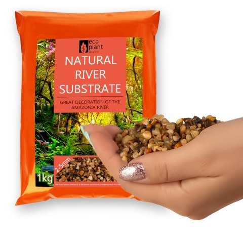 Eco Plant Natural River 1kg - żwirek rzeczny 2-5mm Eco Plant Natural River 1kg - żwirek rzeczny 2-5mm