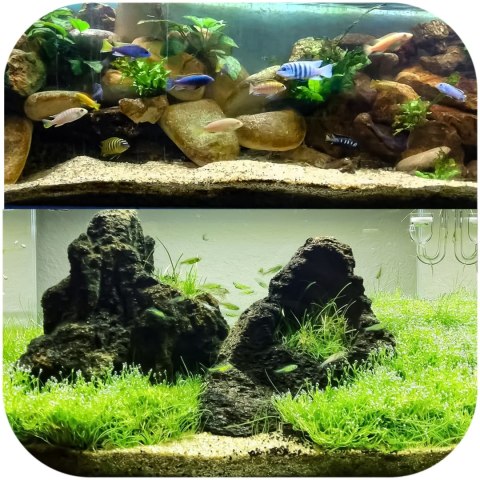 Eco Plant Natural River 1kg - żwirek rzeczny 2-5mm Eco Plant Natural River 1kg - żwirek rzeczny 2-5mm