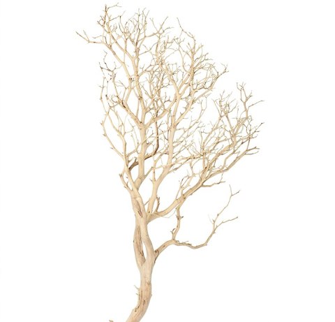 Korzeń dekoracyjny Drift Wood Korzeń dekoracyjny Drift Wood