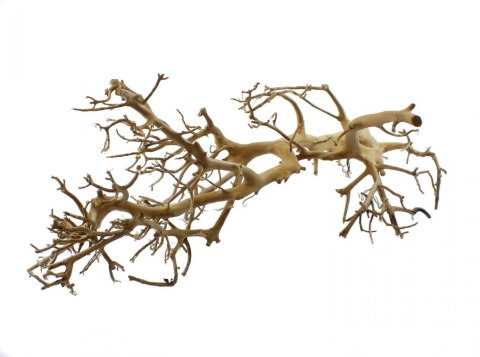 Korzeń dekoracyjny Drift Wood Korzeń dekoracyjny Drift Wood
