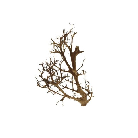 Korzeń dekoracyjny Drift Wood Korzeń dekoracyjny Drift Wood