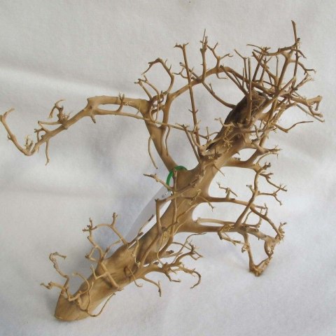 Korzeń dekoracyjny Drift Wood Korzeń dekoracyjny Drift Wood