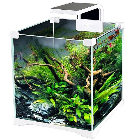 SunSun O!-LED Aqua - zestaw akwarium 10l SunSun O!-LED Aqua - zestaw akwarium 10l