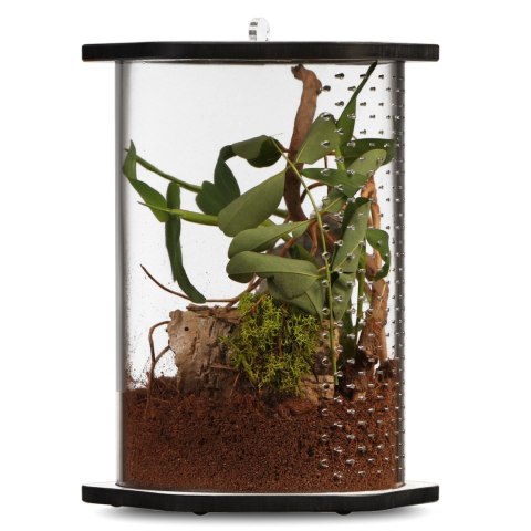 Terrario Spiders Tube Big200 - terrarium akrylowe Terrario Spiders Tube Big200 - terrarium akrylowe