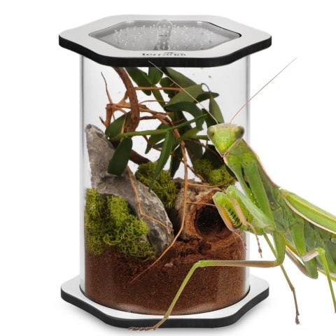 Terrario Spiders Tube Big200 - terrarium akrylowe Terrario Spiders Tube Big200 - terrarium akrylowe