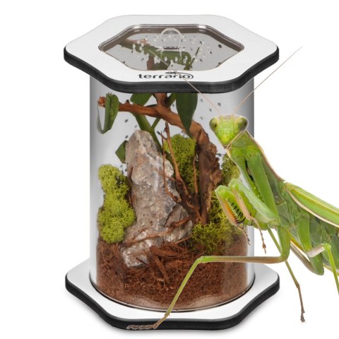 Terrario Spiders Tube Med150 - terrarium akrylowe Terrario Spiders Tube Med150 - terrarium akrylowe
