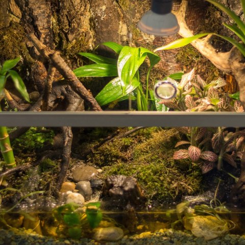 Terrario North King Moss 25g - mech płat Terrario North King Moss 25g - mech płat