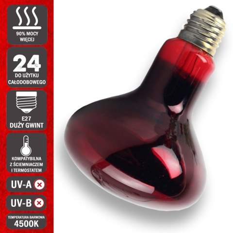 Komodo Infrared 75W - żarówka grzewcza podczerwona Komodo Infrared 75W - żarówka grzewcza podczerwona