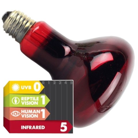 Komodo Infrared 75W - żarówka grzewcza podczerwona Komodo Infrared 75W - żarówka grzewcza podczerwona