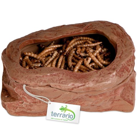 Terrario SplitRock Bowl - miska do karmienia żywym pokarmem 11x9x4 cm Terrario SplitRock Bowl - miska do karmienia żywym pokarmem 11x9x4 cm