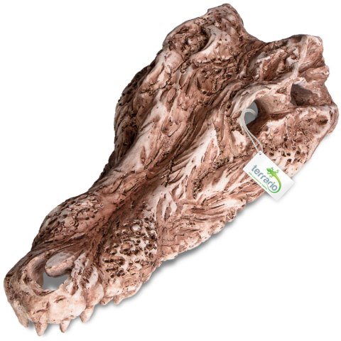 Terrario Crocodile Skull - czaszka krokodyla do terrarium 30x14x9 cm Terrario Crocodile Skull - czaszka krokodyla do terrarium 30x14x9 cm