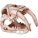 Terrario Sabertooth Skull - czaszka tygrysa do terrarium 13x8,5x11 cm