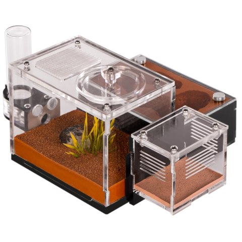 Ant Expert Ancient Canyon - formikarium akrylowe Ant Expert Ancient Canyon - formikarium akrylowe