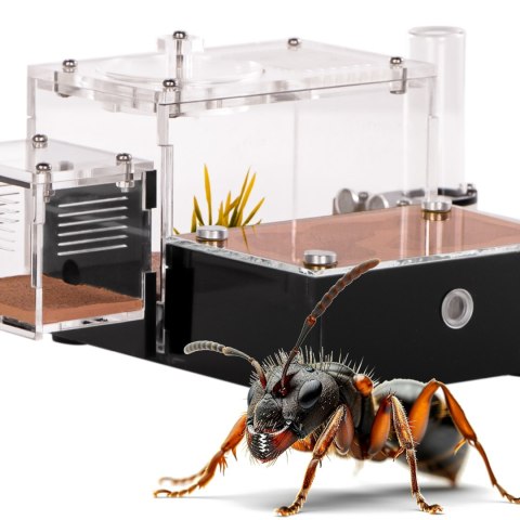 Ant Expert Ancient Canyon - formikarium akrylowe Ant Expert Ancient Canyon - formikarium akrylowe