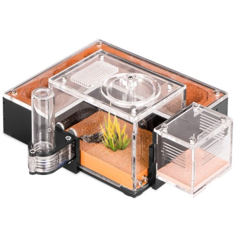Ant Expert Arizona Canyons - formikarium akrylowe Ant Expert Arizona Canyons - formikarium akrylowe