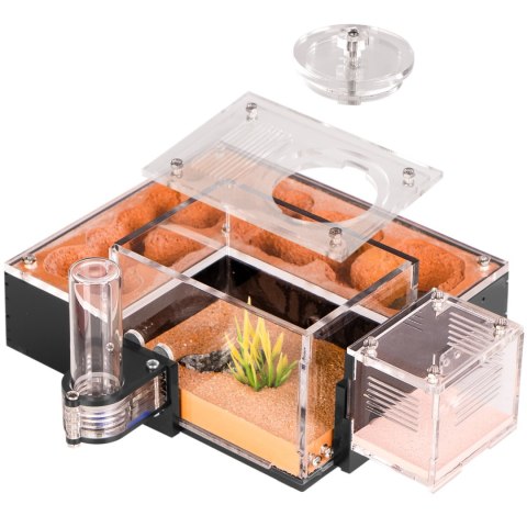 Ant Expert Arizona Canyons - formikarium akrylowe Ant Expert Arizona Canyons - formikarium akrylowe