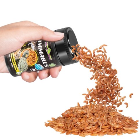 Repti-Zoo Gammarus 100ml - kiełż zdrojowy Repti-Zoo Gammarus 100ml - kiełż zdrojowy