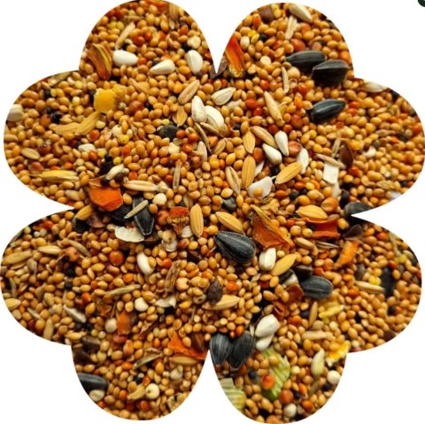 Alegia Enjoy pokarm dla nimfy 450g Alegia Enjoy pokarm dla nimfy 450g