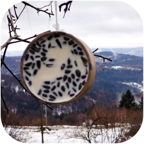 Gami Ringo tłuszczowe 2w1 - pokarm dla ptaków dzikich