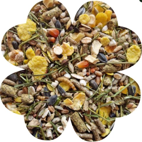 Alegia Enjoy pokarm dla chomika 800g Alegia Enjoy pokarm dla chomika 800g