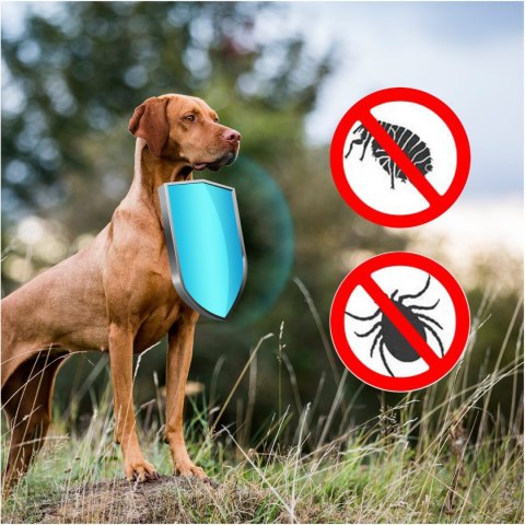 Sabunol Plus Protect Collar 50cm - obroża przeciw pchłom i kleszczom Sabunol Plus Protect Collar 50cm - obroża przeciw pchłom i kleszczom