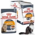 KARMA MOKRA DLA KOTA Royal Canin Care Intense Beauty 12 x 85 g zdrowa skóra