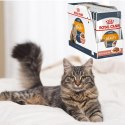 KARMA MOKRA DLA KOTA Royal Canin Care Intense Beauty 12 x 85 g zdrowa skóra