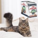 KARMA MOKRA DLA KOTA Royal Canin Digestive Sensitive 12 x 85g KOTY WRAŻLIWE