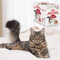 KARMA MOKRA DLA KOTA Royal Canin Instinctive SASZETKA 12 x 85g KOTY DOROSŁE