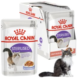 KARMA MOKRA DLA KOTA Royal Canin Sterilised 12 x 85g KOTY STERYLIZOWANE