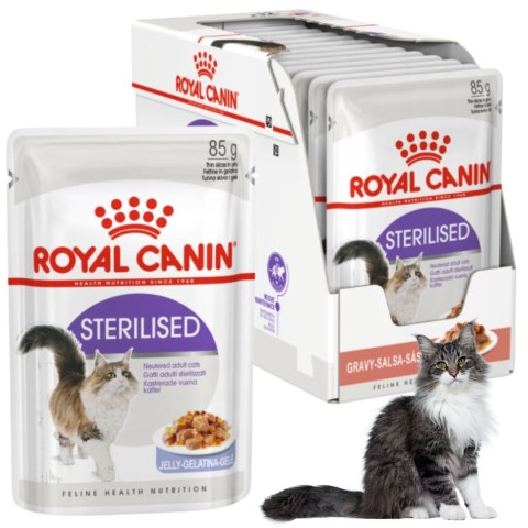 KARMA MOKRA DLA KOTA Royal Canin Sterilised 12 x 85g KOTY STERYLIZOWANE