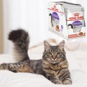 KARMA MOKRA DLA KOTA Royal Canin Sterilised 12 x 85g KOTY STERYLIZOWANE