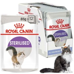 KARMA MOKRA DLA KOTA Royal Canin Sterilised Jelly 12 x 85g STERYLIZOWANE