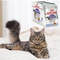 KARMA MOKRA DLA KOTA Royal Canin Sterilised Jelly 12 x 85g STERYLIZOWANE