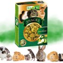 PRZYSMAK DLA GRYZONI I KRÓLIKA NESTOR SNACKS SUSZONA CUKINIA NATURALNY SMAK