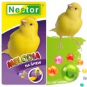 NESTOR MELODIA DLA KANARKÓW WITAMINY POBUDZAJĄCE ŚPIEW KANARKA MIX ZIAREN