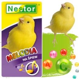 NESTOR MELODIA DLA KANARKÓW WITAMINY POBUDZAJĄCE ŚPIEW KANARKA MIX ZIAREN
