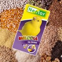 NESTOR MELODIA DLA KANARKÓW WITAMINY POBUDZAJĄCE ŚPIEW KANARKA MIX ZIAREN