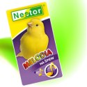 NESTOR MELODIA DLA KANARKÓW WITAMINY POBUDZAJĄCE ŚPIEW KANARKA MIX ZIAREN