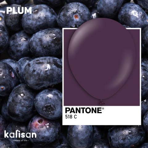Balony lateksowe Plum, fioletowy 45 cm, 1 szt.