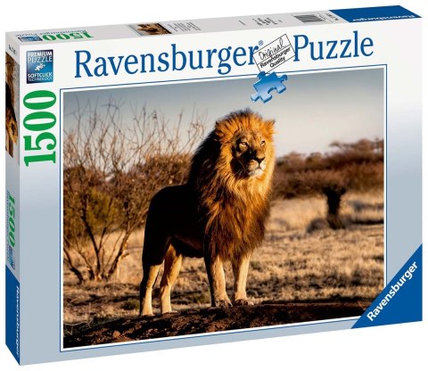 Ravensburger Puzzle 2D 1500 elementów: Lew 17107 Ravensburger Puzzle 2D 1500 elementów: Lew 17107