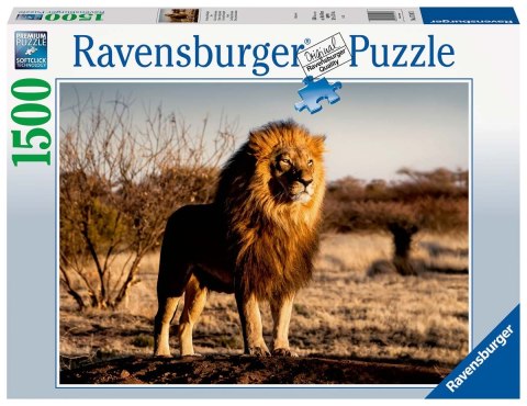 Ravensburger Puzzle 2D 1500 elementów: Lew 17107 Ravensburger Puzzle 2D 1500 elementów: Lew 17107
